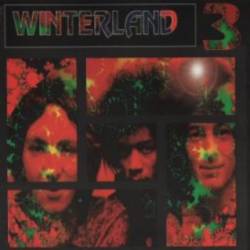 Jimi Hendrix : Winterland Experience Vol.3